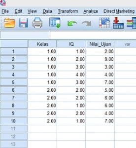 Data View SPSS