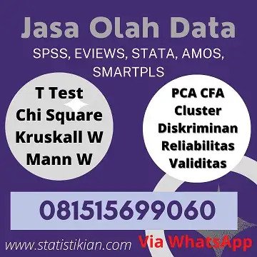 Jasa Analisis Statistik BSI