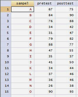 Dataset pada Uji Wilcoxon Signed Rank Test dengan STATA